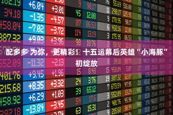 配多多 为你，更精彩！十五运幕后英雄“小海豚”初绽放