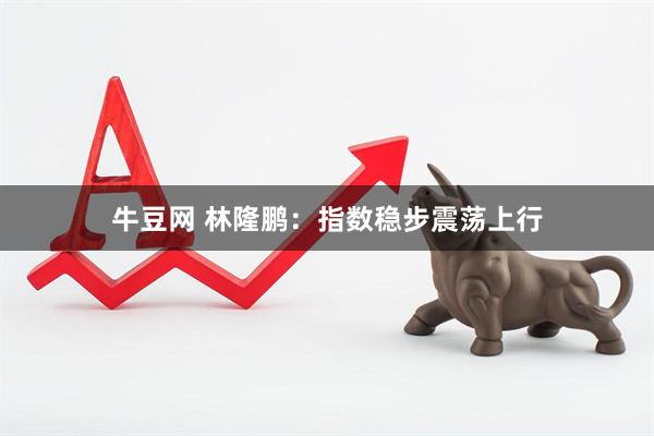 牛豆网 林隆鹏：指数稳步震荡上行