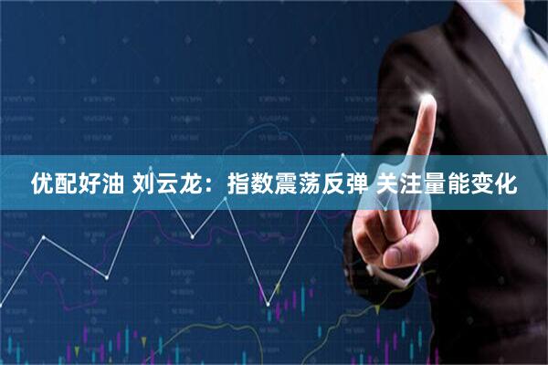 优配好油 刘云龙:指数震荡反弹 关注量能变化