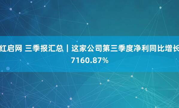 红启网 三季报汇总|这家公司第三季度净利同比增长7160.87%