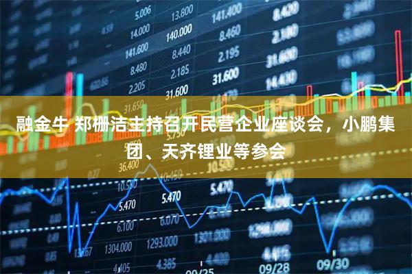 融金牛 郑栅洁主持召开民营企业座谈会，小鹏集团、天齐锂业等参会