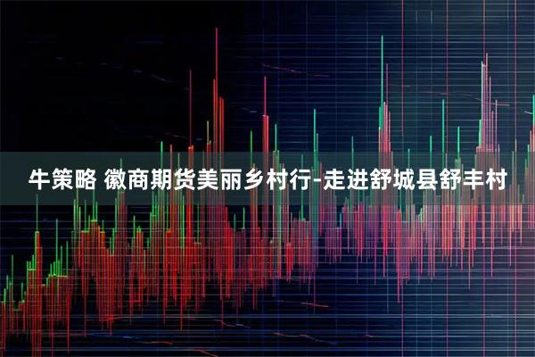 牛策略 徽商期货美丽乡村行-走进舒城县舒丰村